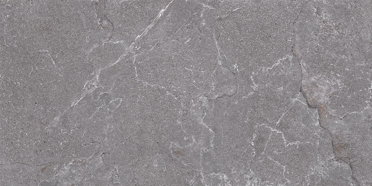 SALUS GREY